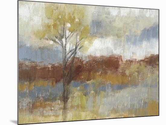 Sienna Field I-Jennifer Goldberger-Mounted Art Print