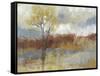 Sienna Field I-Jennifer Goldberger-Framed Stretched Canvas