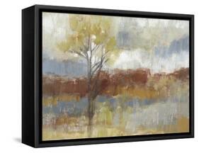 Sienna Field I-Jennifer Goldberger-Framed Stretched Canvas