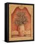 Sienna Fruit I-Pamela Gladding-Framed Stretched Canvas