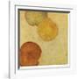 Sienna Lake 2-Lynn Basa-Framed Giclee Print
