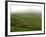 Siera Do Cume, Terceira Island, Azores, Portugal, Europe-De Mann Jean-Pierre-Framed Photographic Print