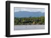 Sierpe River, Osa Peninsula, Costa Rica, Central America-Sergio-Framed Photographic Print