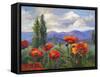 Sierra Awakenings I-Nanette Oleson-Framed Stretched Canvas