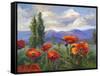 Sierra Awakenings I-Nanette Oleson-Framed Stretched Canvas