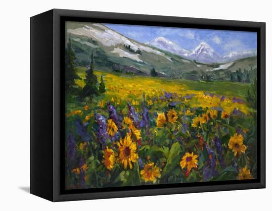 Sierra Awakenings II-Nanette Oleson-Framed Stretched Canvas