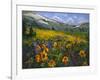 Sierra Awakenings II-Nanette Oleson-Framed Art Print