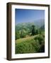 Sierra Dobros, Picos De Europa Mountains, (Green Spain), Asturias, Spain-David Hughes-Framed Photographic Print