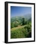 Sierra Dobros, Picos De Europa Mountains, (Green Spain), Asturias, Spain-David Hughes-Framed Photographic Print