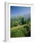 Sierra Dobros, Picos De Europa Mountains, (Green Spain), Asturias, Spain-David Hughes-Framed Photographic Print