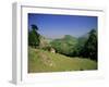 Sierra Dobros, Picos De Europa Mountains, (Green Spain), Asturias, Spain-David Hughes-Framed Photographic Print