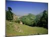 Sierra Dobros, Picos De Europa Mountains, (Green Spain), Asturias, Spain-David Hughes-Mounted Photographic Print