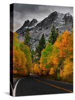 Sierra Fall Mountain Pass-Steven Maxx-Stretched Canvas