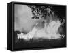 Sierra Forest Fire-Ralph Crane-Framed Stretched Canvas