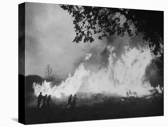 Sierra Forest Fire-Ralph Crane-Stretched Canvas