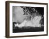 Sierra Forest Fire-Ralph Crane-Framed Photographic Print