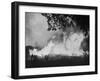 Sierra Forest Fire-Ralph Crane-Framed Photographic Print