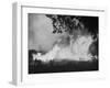 Sierra Forest Fire-Ralph Crane-Framed Photographic Print