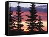 Sierra Madre Range with Spruce Tree, Medicine Bow National Forest, Wyoming, USA-Scott T. Smith-Framed Stretched Canvas