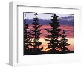 Sierra Madre Range with Spruce Tree, Medicine Bow National Forest, Wyoming, USA-Scott T. Smith-Framed Photographic Print