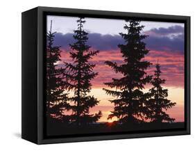 Sierra Madre Range with Spruce Tree, Medicine Bow National Forest, Wyoming, USA-Scott T. Smith-Framed Stretched Canvas
