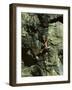 Sierra Nevada, California, USA-null-Framed Photographic Print