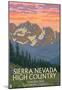 Sierra Nevada High Country - Sonora Pass, Tuolumne County, California - Spring Flowers-null-Mounted Poster