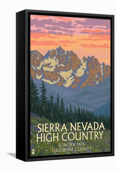 Sierra Nevada High Country - Sonora Pass, Tuolumne County, California - Spring Flowers-Lantern Press-Framed Stretched Canvas