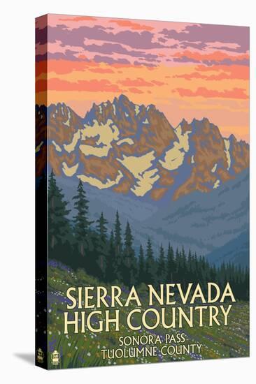 Sierra Nevada High Country - Sonora Pass, Tuolumne County, California - Spring Flowers-Lantern Press-Stretched Canvas