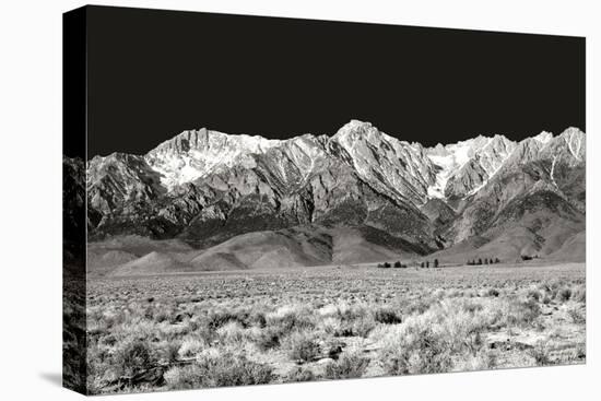 Sierra Nevada Mountains I BW-Douglas Taylor-Stretched Canvas