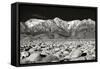 Sierra Nevada Mountains II BW-Douglas Taylor-Framed Stretched Canvas