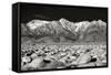 Sierra Nevada Mountains II BW-Douglas Taylor-Framed Stretched Canvas