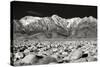 Sierra Nevada Mountains II BW-Douglas Taylor-Stretched Canvas