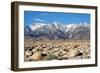 Sierra Nevada Mountains II-Douglas Taylor-Framed Photographic Print