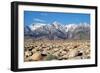 Sierra Nevada Mountains II-Douglas Taylor-Framed Photographic Print