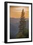 Sierra Nevada Mountains with Ponderosa Pine-Richard T Nowitz-Framed Premium Photographic Print