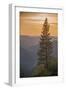 Sierra Nevada Mountains with Ponderosa Pine-Richard T Nowitz-Framed Premium Photographic Print