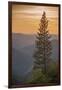 Sierra Nevada Mountains with Ponderosa Pine-Richard T Nowitz-Framed Premium Photographic Print