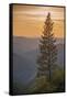 Sierra Nevada Mountains with Ponderosa Pine-Richard T Nowitz-Framed Stretched Canvas