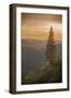 Sierra Nevada Mountains with Ponderosa Pine-Richard T Nowitz-Framed Photographic Print