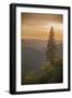 Sierra Nevada Mountains with Ponderosa Pine-Richard T Nowitz-Framed Photographic Print