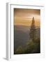 Sierra Nevada Mountains with Ponderosa Pine-Richard T Nowitz-Framed Photographic Print