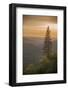 Sierra Nevada Mountains with Ponderosa Pine-Richard T Nowitz-Framed Photographic Print