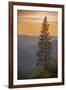 Sierra Nevada Mountains with Ponderosa Pine-Richard T Nowitz-Framed Photographic Print
