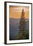 Sierra Nevada Mountains with Ponderosa Pine-Richard T Nowitz-Framed Photographic Print