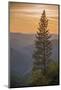Sierra Nevada Mountains with Ponderosa Pine-Richard T Nowitz-Mounted Photographic Print