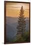 Sierra Nevada Mountains with Ponderosa Pine-Richard T Nowitz-Framed Photographic Print