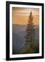 Sierra Nevada Mountains with Ponderosa Pine-Richard T Nowitz-Framed Photographic Print