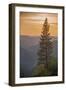 Sierra Nevada Mountains with Ponderosa Pine-Richard T Nowitz-Framed Photographic Print