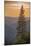 Sierra Nevada Mountains with Ponderosa Pine-Richard T Nowitz-Mounted Photographic Print